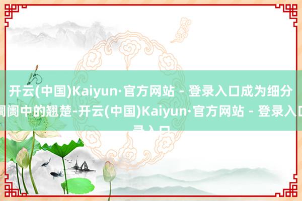 开云(中国)Kaiyun·官方网站 - 登录入口成为细分阛阓中的翘楚-开云(中国)Kaiyun·官方网站 - 登录入口