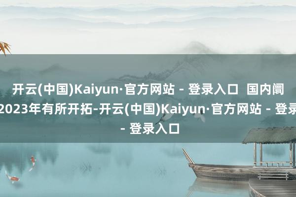 开云(中国)Kaiyun·官方网站 - 登录入口  国内阛阓在2023年有所开拓-开云(中国)Kaiyun·官方网站 - 登录入口