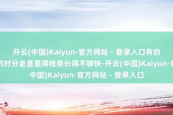 开云(中国)Kaiyun·官方网站 - 登录入口有的花友老是养九尾狐的时分老是显得枝条长得不够快-开云(中国)Kaiyun·官方网站 - 登录入口