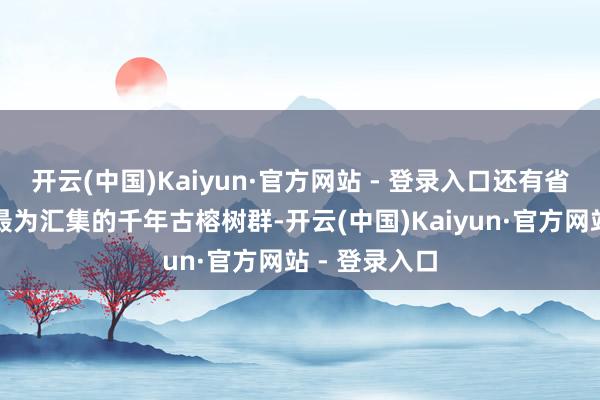 开云(中国)Kaiyun·官方网站 - 登录入口还有省内最高最大最为汇集的千年古榕树群-开云(中国)Kaiyun·官方网站 - 登录入口