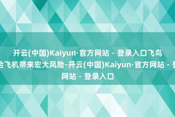 开云(中国)Kaiyun·官方网站 - 登录入口　　飞鸟撞击会给飞机带来宏大风险-开云(中国)Kaiyun·官方网站 - 登录入口