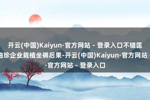 开云(中国)Kaiyun·官方网站 - 登录入口不错匡助香港中袖珍企业栽植坐褥后果-开云(中国)Kaiyun·官方网站 - 登录入口
