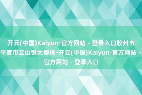 开云(中国)Kaiyun·官方网站 - 登录入口胶州市洋河镇、平度市云山镇大樱桃-开云(中国)Kaiyun·官方网站 - 登录入口