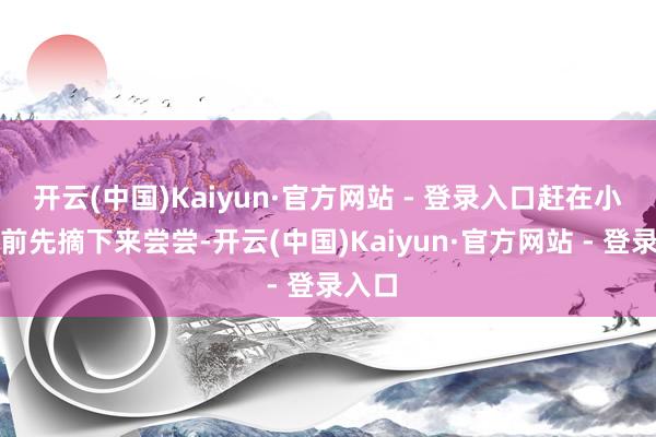 开云(中国)Kaiyun·官方网站 - 登录入口赶在小鸟之前先摘下来尝尝-开云(中国)Kaiyun·官方网站 - 登录入口