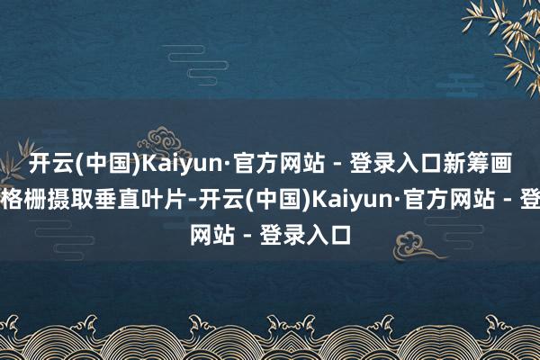 开云(中国)Kaiyun·官方网站 - 登录入口新筹画的进气格栅摄取垂直叶片-开云(中国)Kaiyun·官方网站 - 登录入口