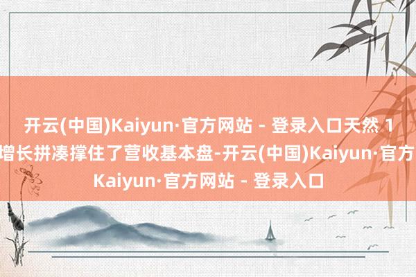 开云(中国)Kaiyun·官方网站 - 登录入口天然 15.5% 的录用量增长拼凑撑住了营收基本盘-开云(中国)Kaiyun·官方网站 - 登录入口