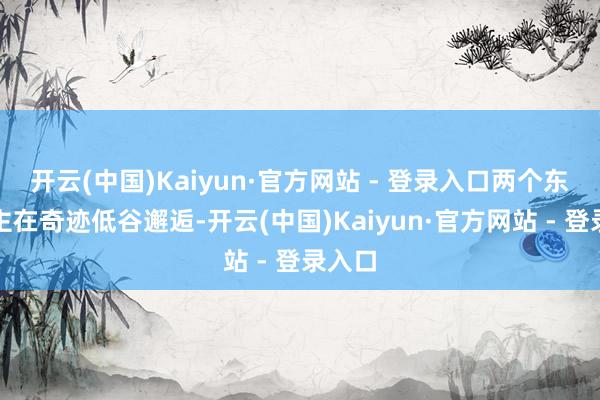 开云(中国)Kaiyun·官方网站 - 登录入口两个东说念主在奇迹低谷邂逅-开云(中国)Kaiyun·官方网站 - 登录入口