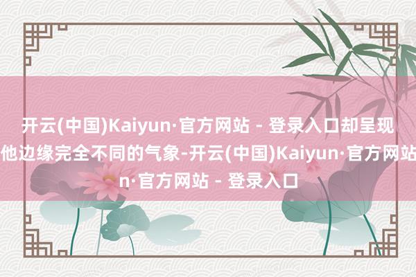开云(中国)Kaiyun·官方网站 - 登录入口却呈现出与城市其他边缘完全不同的气象-开云(中国)Kaiyun·官方网站 - 登录入口